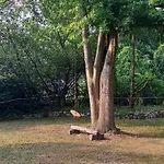 Einfachlosmachen-zeltpunkt Kemping