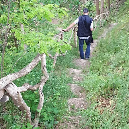 Einfachlosmachen-zeltpunkt Κάμπινγκ