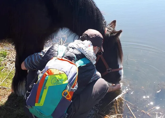 Einfachlosmachen-zeltpunkt *